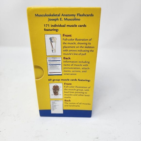 Musculoskeletal Anatomy by Joseph E. Muscolino 2005 Flash Cards - Picture 3 of 10